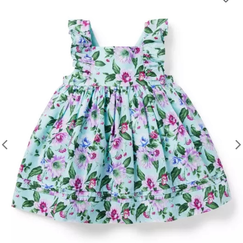 Janie and Jack Floral Ruffle Dress 18-24 months